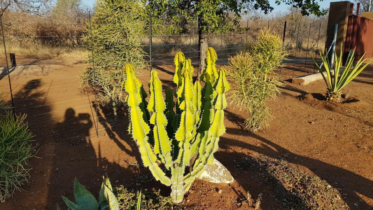 Hornbills Rest Country Home Phalaborwa Luaran gambar