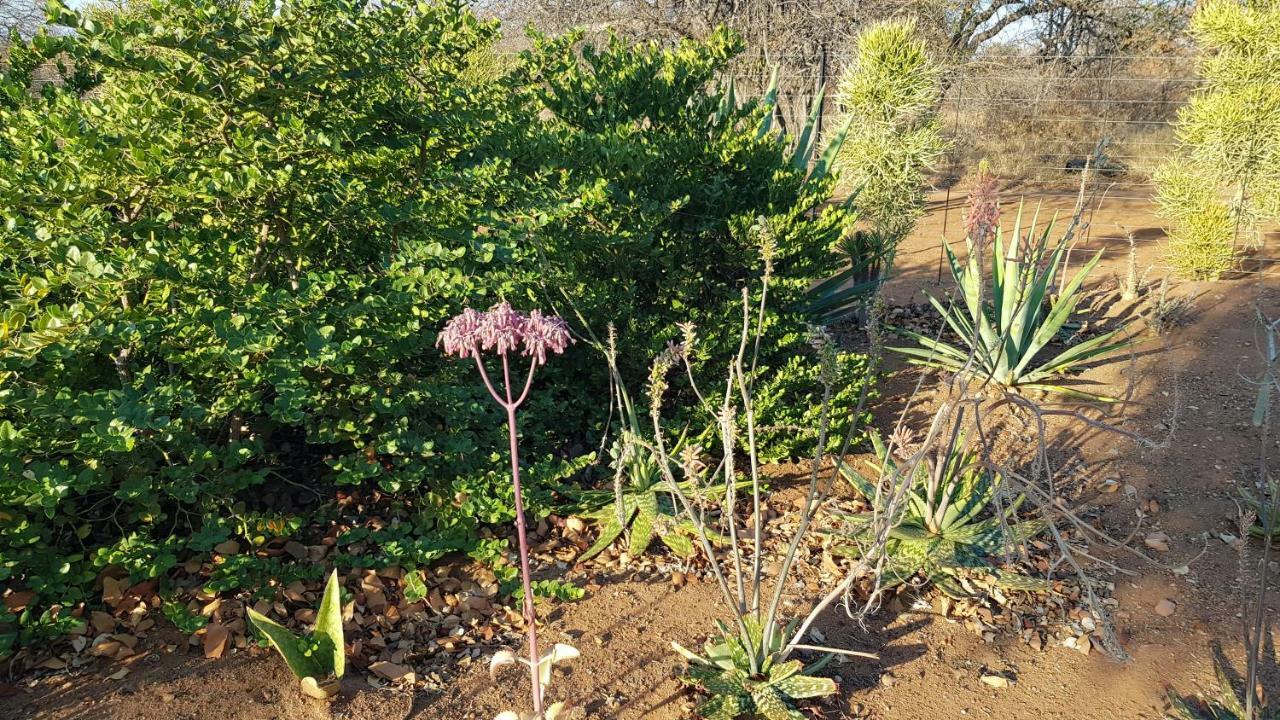 Hornbills Rest Country Home Phalaborwa Luaran gambar